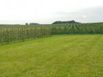 Belgische Boerenbond komt met actieplan voor de fruitsector
