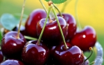 Freshfel: Fruit op verpakking alleen bij 50% fruit