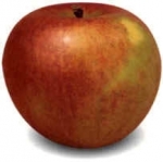 Appelen en aardbeien: actuele situatie in regio Bodensee