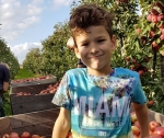 Kwart miljard voor melk en fruit op scholen