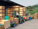 Recordaantal deelnemers fruitplukdagen