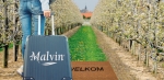 Bestrijding vruchtboomkanker actueel