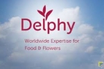 Fruitteelt Delphy versterkt met aantrekken Erik Buitenhuis