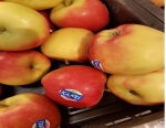 „Ondanks grote voorraden in bewaring momenteel veel buitenlandse appelen in de schappen"
