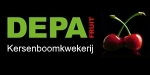 Toon Vanrykel, DEPA-Fruit “Volgend plantseizoen grotere volumes van unieke Natalie-kers beschikbaar”