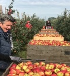 NFO stopt met ongevallenverzekering oogstmedewerkers