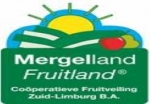 Fruitveiling Zuid-Limburg organiseert bezichtiging fruitperceel Morgana