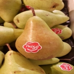 De Migo® peer is weer terug