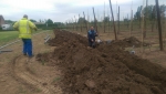 Roemenië: vorstschade fruitteelt