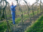 ‘Groeikrachtkaarten fruitbomen voor homogene groei’