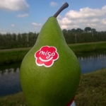 Meeropbrengst met plantversterker in peer