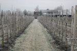 Student, snoeier en bestuurder