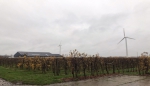 "Dit is funest voor de sector"