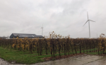 Fruithal Smits promoot fruitteelt in Flevoland op Floriade Expo 2022