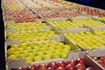 Export appelen en peren naar Belarus weer toegestaan