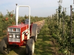 "Duurzaam telen vraagt om meer kennis en arbeid én accepteren dat je meer uitval van fruit hebt"