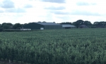 Fruittelers hebben zorgen over toekomst van hun bedrijf