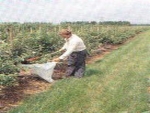 "Rechtszaak natuur- en milieuorganisaties tegen Vlaams pesticidenbeleid is niet fair"