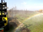 Biologisch fungicide mag nu ook in perenteelt