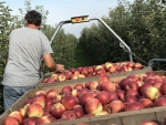Verse groenten en fruit in België minder in trek door inflatie