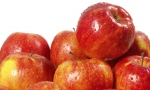 Vlaamse appelareaal krijgt tik, peren ook daling