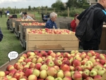 "Vlotte Elstar-verkoop, Conference-perenexport moet nog losbarsten"