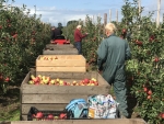 Fruittelers doen goede zaken na dramatisch vorig seizoen