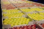 Gemiddelde prijs EU appelen in januari op €94