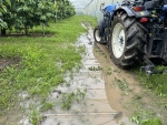 Peiling: Wat doet de vele regen met de agrarische productie?