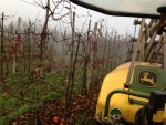 Groot verlies voor fruitteelt door verbod op gewasbescherming in GWB-gebieden