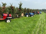 Mariola (60) komt al 26 jaar fruit plukken in Zeeland. Steeds minder van haar landgenoten hebben daar zin in