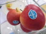 Nieuwe seizoen Morgana appel start met eerste kistje voor ALS