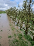 Noodweer treft Franse fruitteelt en 200 hectare kassen in Spanje