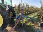 Poolse appeloogst dreigt te halveren door zware vorstschade