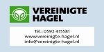 Hagelbuien zorgen voor zware schade bij hardfruittelers