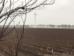 Met name grote landbouwbedrijven investeren in grond
