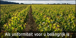 Over Nederlandse fruitoogst valt niets te klagen