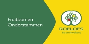 "Perenmarkt 2023 startte met een knal"