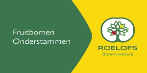 "Perenmarkt 2023 startte met een knal"